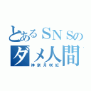 とあるＳＮＳのダメ人間（神奈月咲紅）