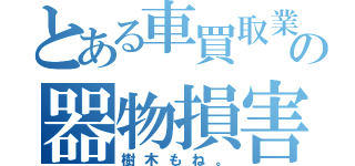 とある車買取業者の器物損害罪（樹木もね。）