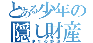 とある少年の隠し財産（少年の野望）