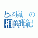 とある嵐の相葉雅紀（櫻井葉）