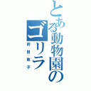 とある動物園のゴリラ（前田敦子）