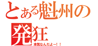 とある魁州の発狂（本気なんだよー！！）