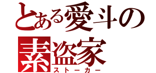 とある愛斗の素盗家（ストーカー）