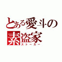 とある愛斗の素盗家（ストーカー）