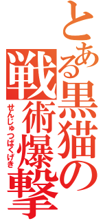 とある黒猫の戦術爆撃（せんじゅつばくげき）