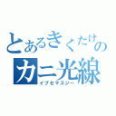 とあるきくたけのカニ光線（イブセマスジー）