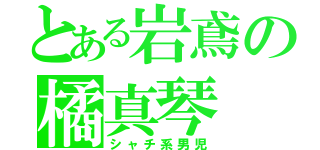 とある岩鳶の橘真琴（シャチ系男児）