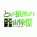 とある狼熊の宇宙憧憬（ロケットの見える町で）