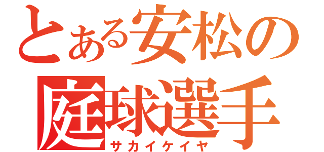 とある安松の庭球選手（サカイケイヤ）