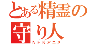 とある精霊の守り人（ＮＨＫアニメ）