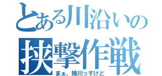 とある川沿いの挟撃作戦（まぁ、姉川っすけど）