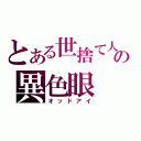 とある世捨て人の異色眼（オッドアイ）