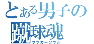 とある男子の蹴球魂（サッカーソウル）