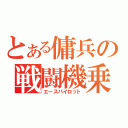 とある傭兵の戦闘機乗り（エースパイロット）