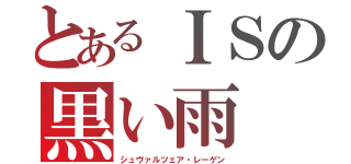 とあるＩＳの黒い雨（シュヴァルツェア・レーゲン）