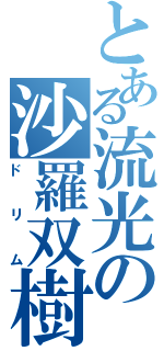 とある流光の沙羅双樹（ドリム）