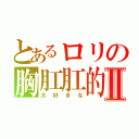 とあるロリの胸肛肛的Ⅱ（大好きな）