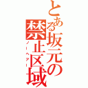 とある坂元の禁止区域（ノーヘアー）