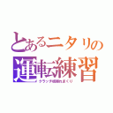 とあるニタリの運転練習（クラッチ板擦れまくり）