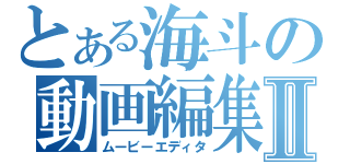 とある海斗の動画編集Ⅱ（ムービーエディタ）