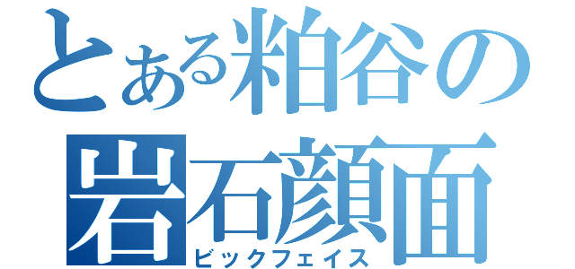 とある粕谷の岩石顔面（ビックフェイス）