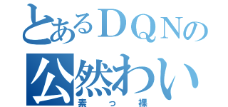 とあるＤＱＮの公然わいせつ（素っ裸）