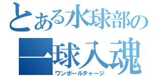 とある水球部の一球入魂！（ワンボールチャージ）