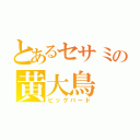 とあるセサミの黄大鳥（ビッグバード）