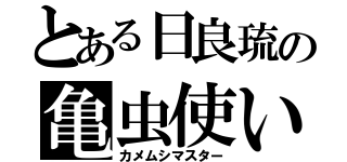 とある日良琉の亀虫使い（カメムシマスター）