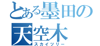 とある墨田の天空木（スカイツリー）