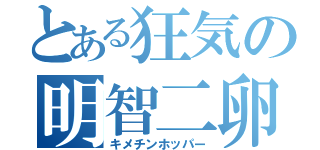 とある狂気の明智二卵性双生児（キメチンホッパー）