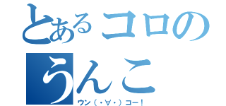 とあるコロのうんこ（ウン（・∀・）コー！）