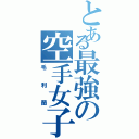 とある最強の空手女子（毛利蘭）