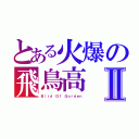 とある火爆の飛鳥高Ⅱ（Ｂｉｒｄ Ｏｆ Ｇｏｒｄｅｎ）