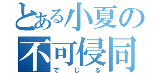 とある小夏の不可侵同盟（でじる）