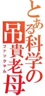 とある科学の吊貴老母（ファックマム）