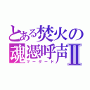 とある焚火の魂憑呼声Ⅱ（マーダード）