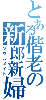 とある偕老の新郎新婦（ソウルメイト）