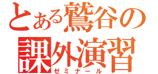 とある鷲谷の課外演習（ゼミナール）