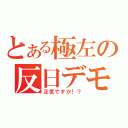 とある極左の反日デモ（正気ですか！？）