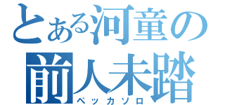 とある河童の前人未踏（ペッカソロ）