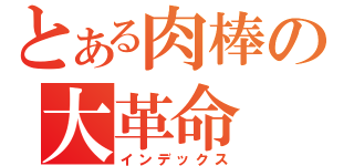 とある肉棒の大革命（インデックス）