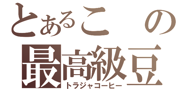 とあるこの最高級豆（トラジャコーヒー）