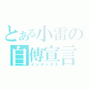 とある小雷の自傳宣言（インデックス）