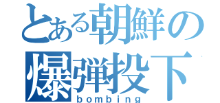 とある朝鮮の爆弾投下（ｂｏｍｂｉｎｇ）