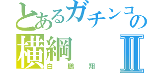 とあるガチンコの横綱Ⅱ（白鵬翔）