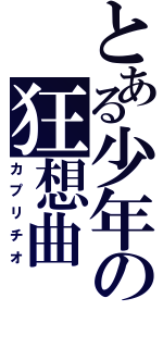 とある少年の狂想曲（カプリチオ）