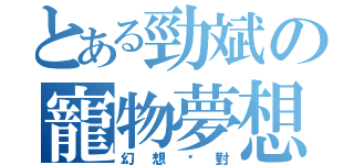 とある勁斌の寵物夢想（幻想絕對）