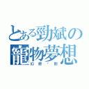 とある勁斌の寵物夢想（幻想絕對）