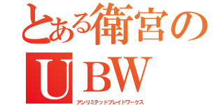 とある衛宮のＵＢＷ（アンリミテッドブレイドワークス）